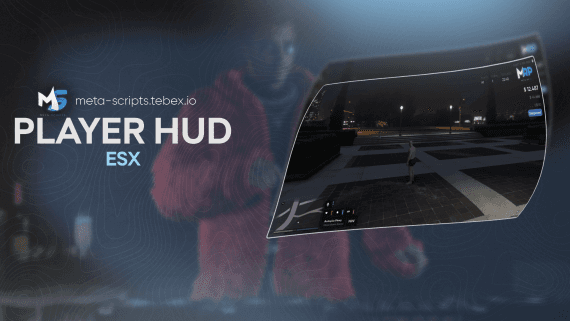 Player Hud