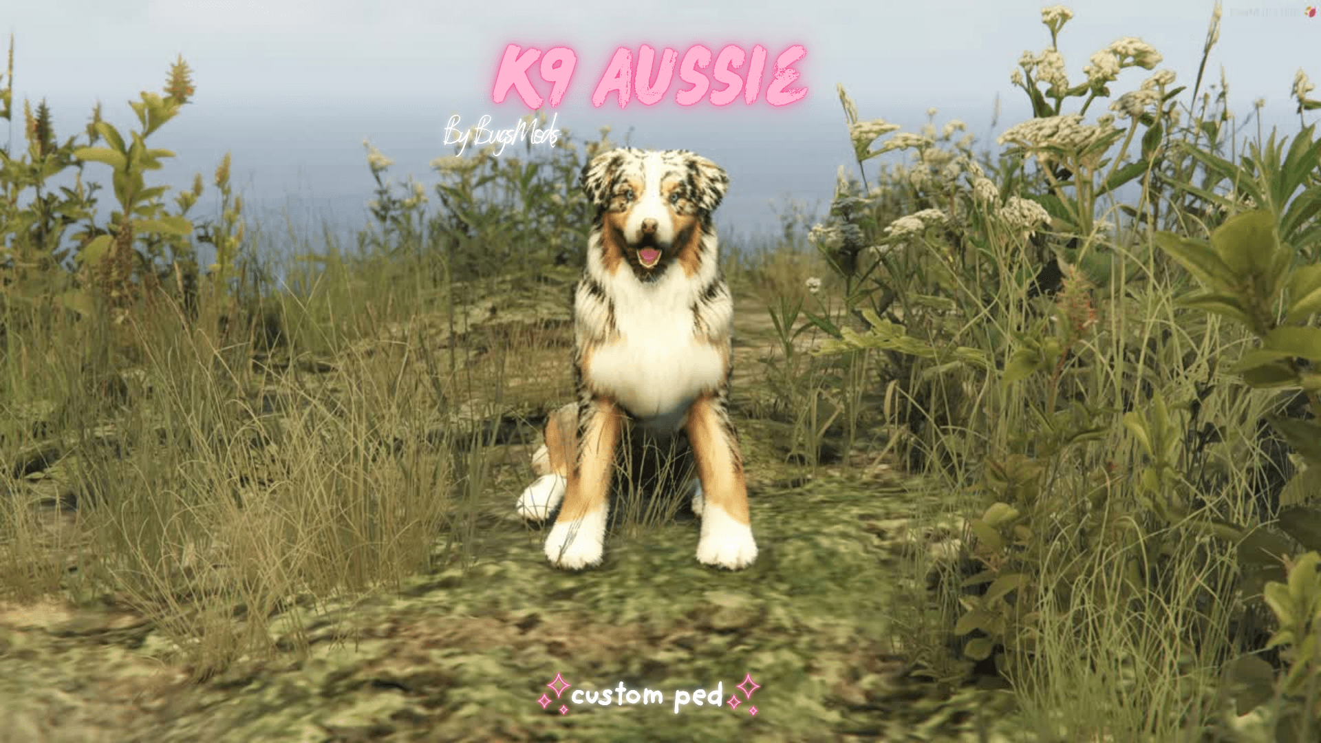 (OPEN) K9 / CIV Australian Shepherd Ped