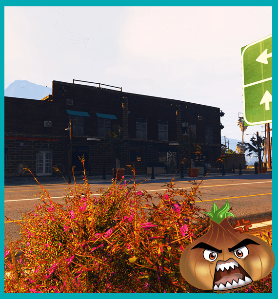 Tobacco Shop