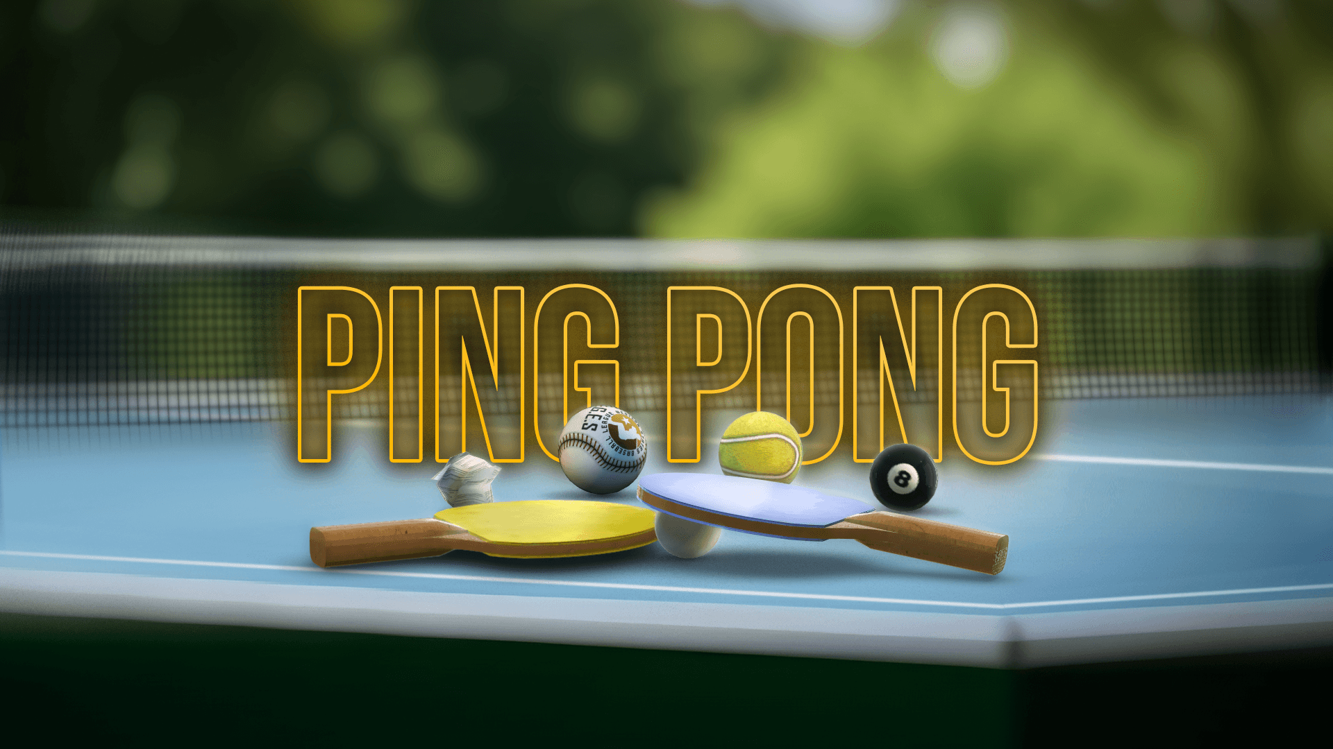 Table Tennis / Ping Pong