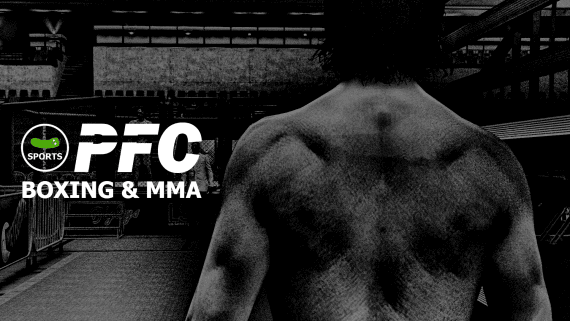 Boxing and MMA System