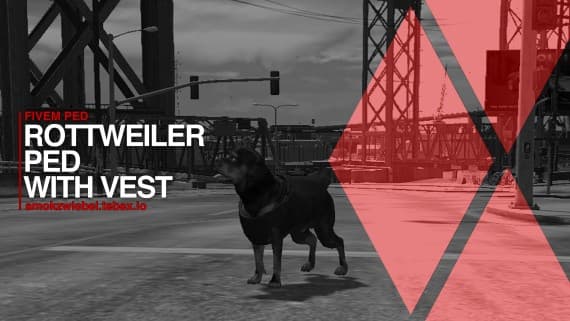 ROTTWEILER WITH VEST