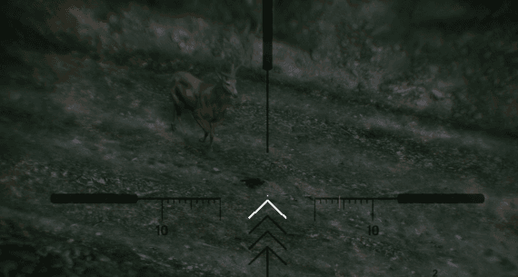 BulgaR Hunting Bait (ESX) / (QBCore)