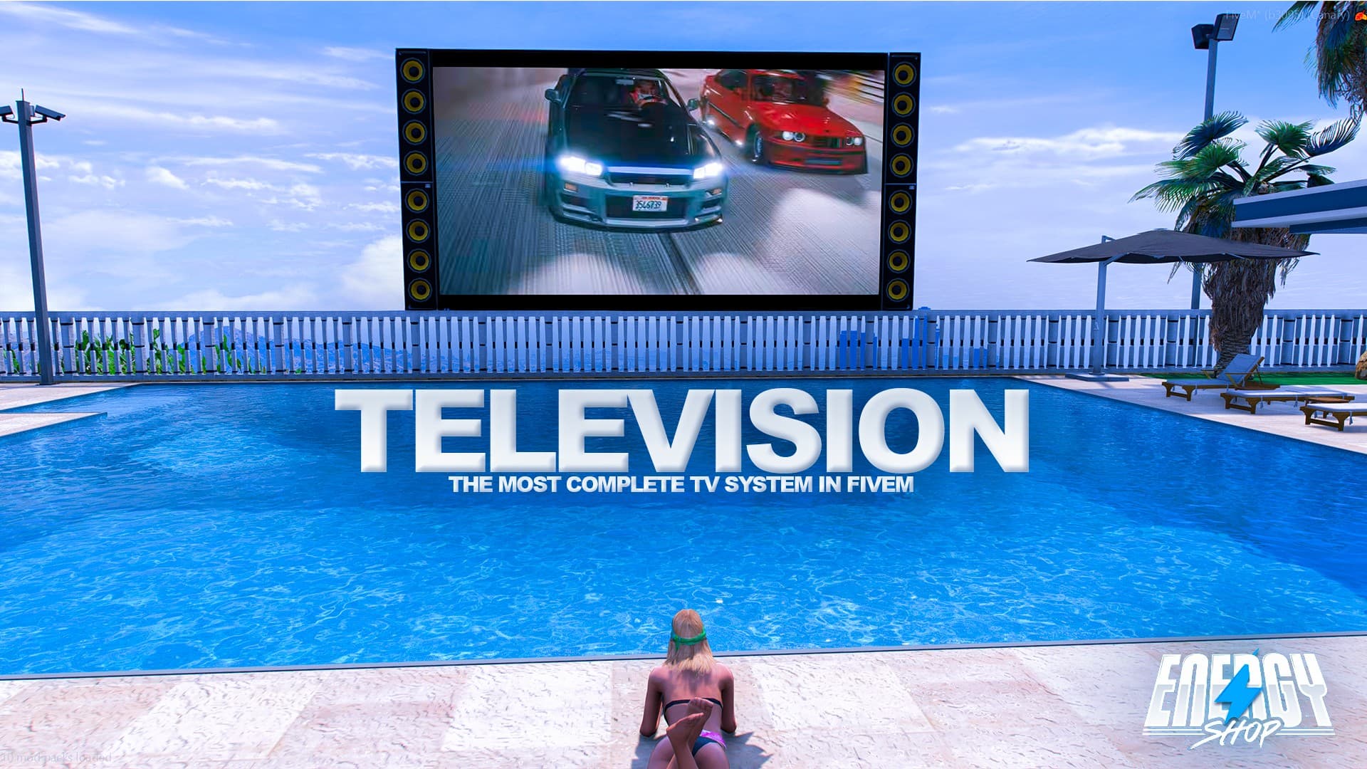 Television