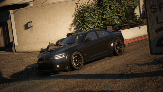 VD CUSTOMS