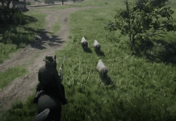 Syn Ranch