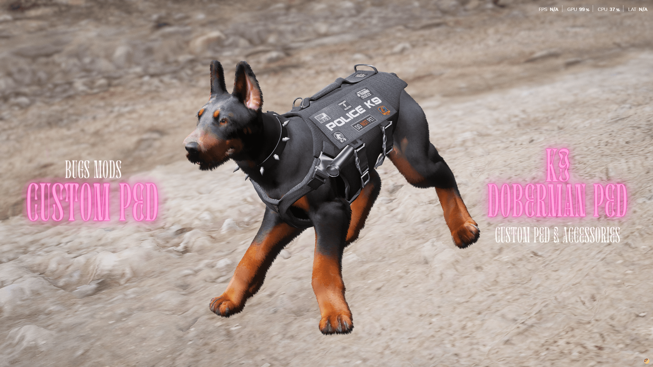 ESCROWED Doberman Ped